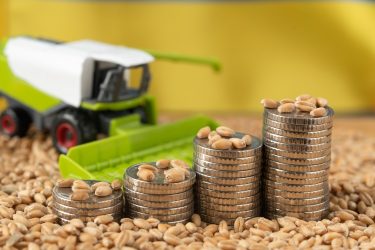 Gabonamagok között emelkedő érmetornyok és egy kombájn makettje utal a mezőgazdasági termelés és a kedvezményes finanszírozás kapcsolatára.