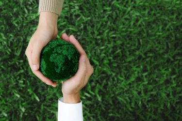 Fenntarthatóság kézben a jövő