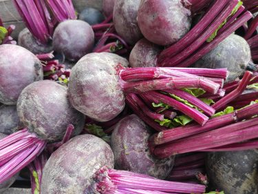 Friss betakarított étkezési cékla