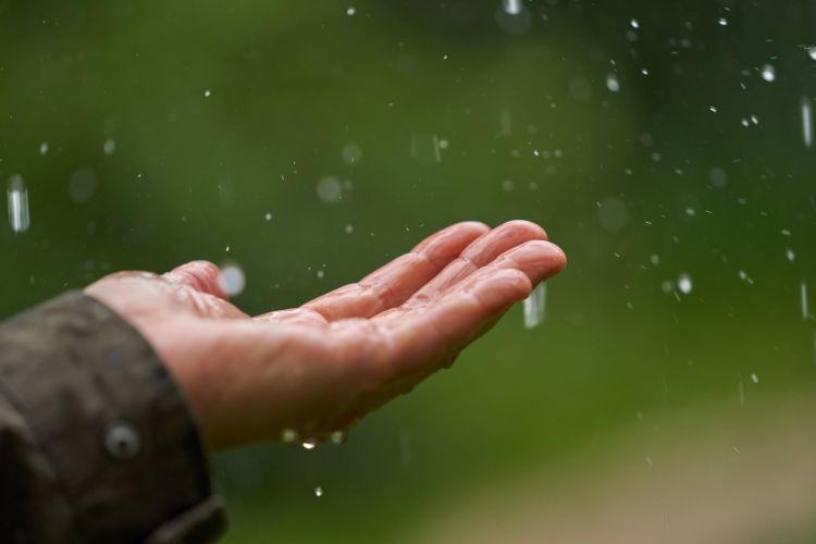 Eső érkezik a földekre