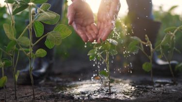 Tavaszi vízhiány a vetésben