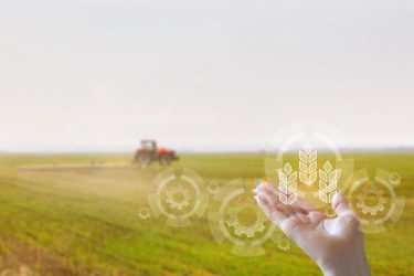 GNSS nyomvonalvezetés szántóföldön