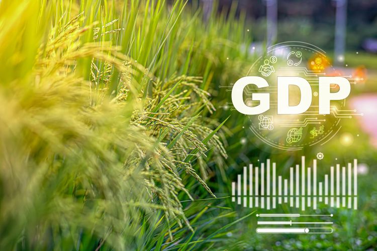 Mezőgazdaság és GDP-adatok 2025-ben