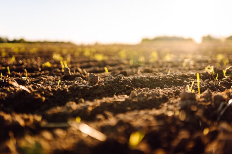 Talaj, ami vizet tart