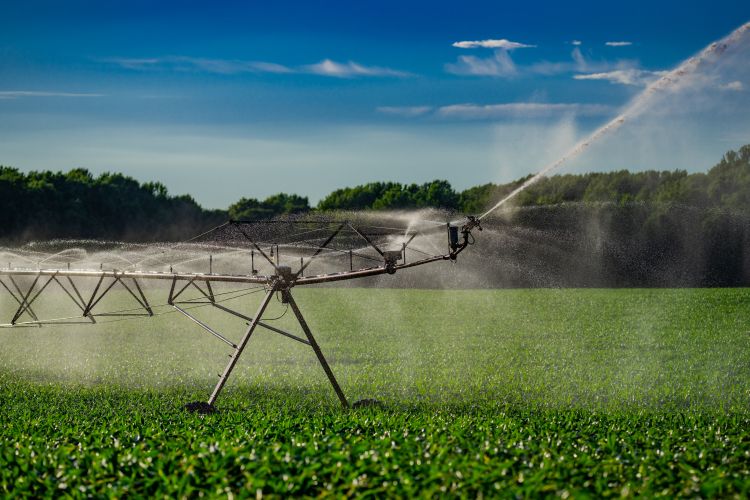 A mezőgazdaság számára fontos könnyítés marad: 2026-ban sem kell mezőgazdasági vízszolgáltatási díjat fizetni.