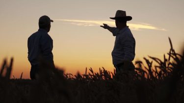Spanyol termelők költségsokkban