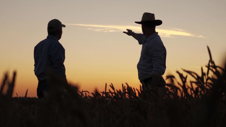 Háborús sokk rázza a spanyol termelőket