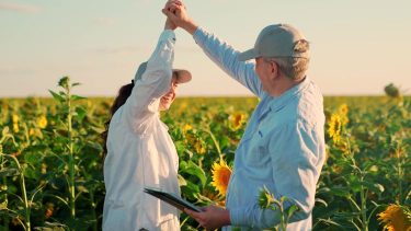 KKV-k digitalizációja támogatással