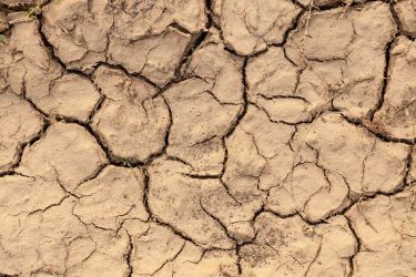 Kiszáradt talaj tavasszal is