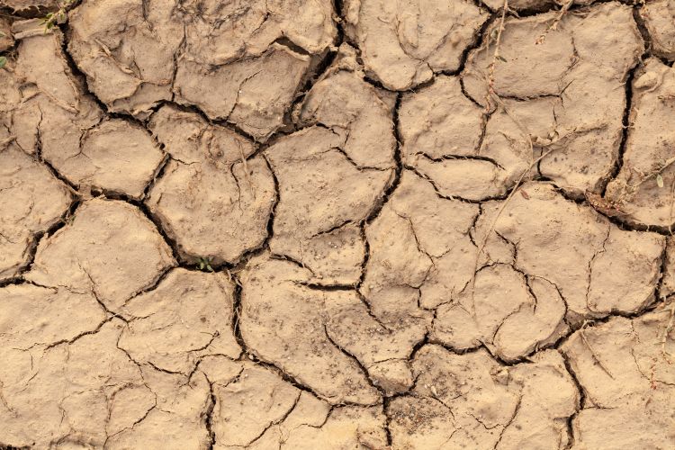 Kiszáradt talaj tavasszal is