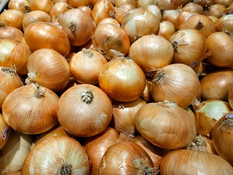 Olcsó a hagyma, mégsem örülhetnek a termelők