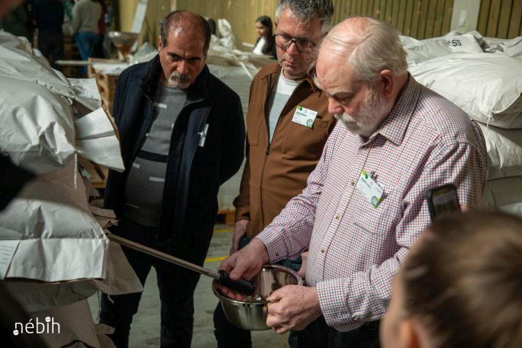 Vetőmag-mintavétel szakmai gyakorlat közben