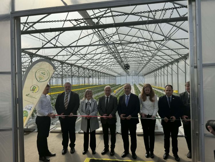 szalagátvágás szentes délkertész üvegház