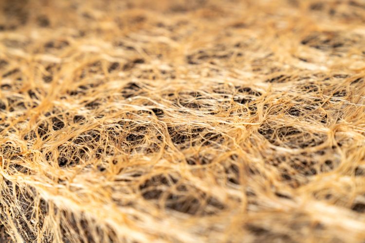 Gyökérzóna és talajszerkezet