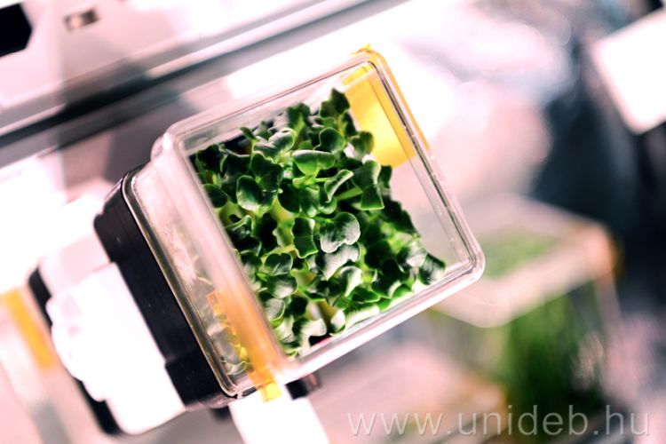 Űrkutatás segíti a mezőgazdaságot