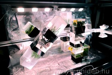 Űrkertészeti növénykísérlet zárt rendszerben