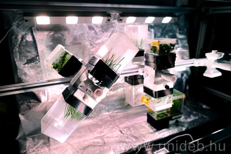 Űrkertészeti növénykísérlet zárt rendszerben