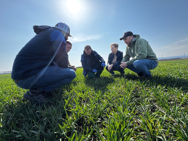 Nufarm gyomvizsgáló csapata termelőkkel Sajóvámoson. Képalá: Gyomvizsgáló csapat Sajóvámoson, termelőkkel. Fotó: Nufarm
