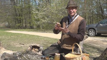 Bózsó Gyula, az Északerdő Zrt. erdőmérnöke