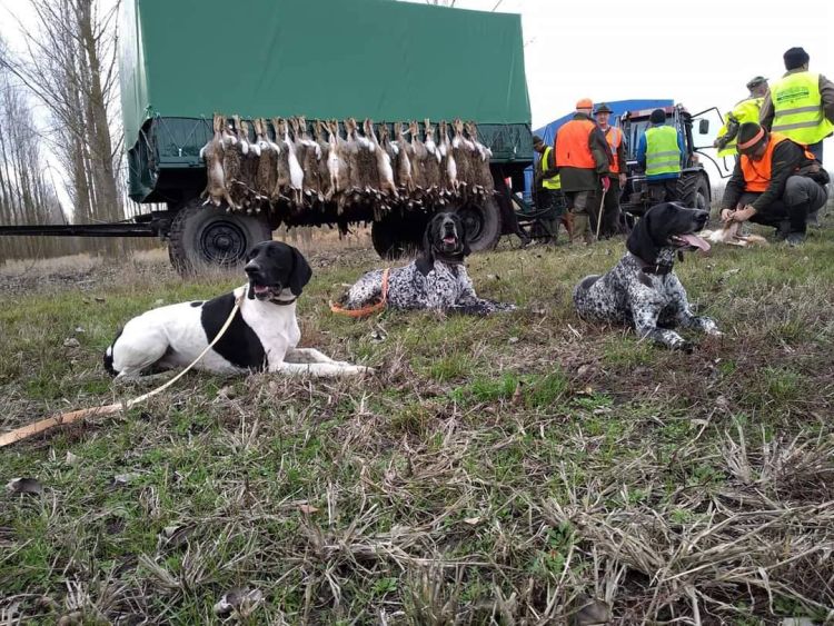 Vadkár a vadgazda szemével