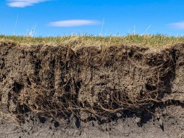 Talajszerkezet és vízmegtartó képesség