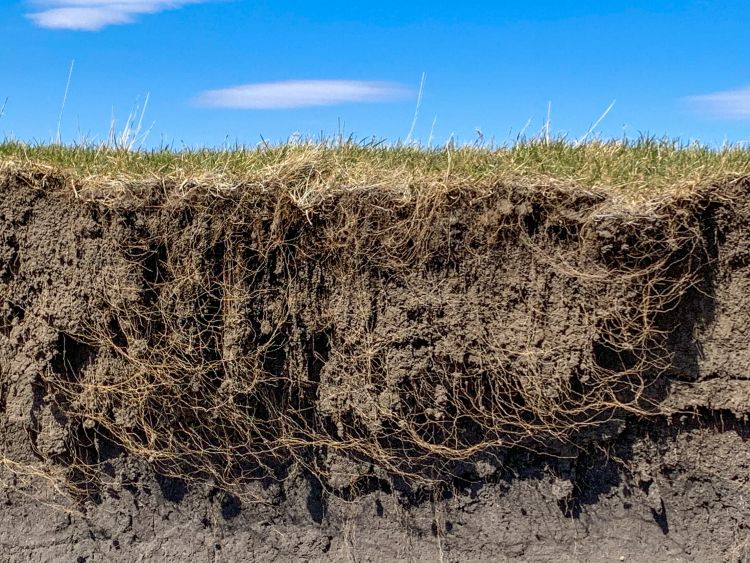 Talajszerkezet és vízmegtartó képesség