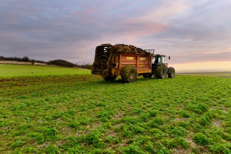 Tavaszi trágyázás szántóföldön