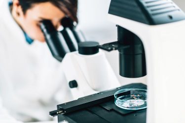 Nanoműanyagok vizsgálata laboratóriumban