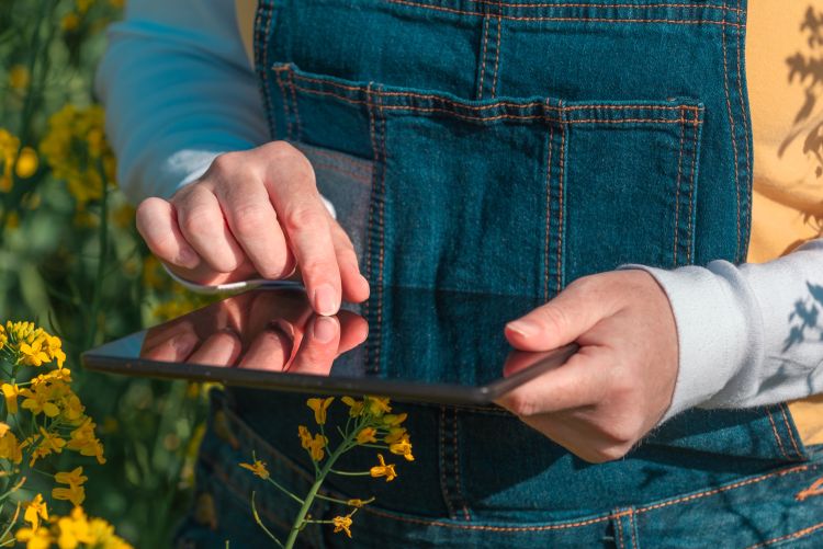 Digitális naplózás a földön