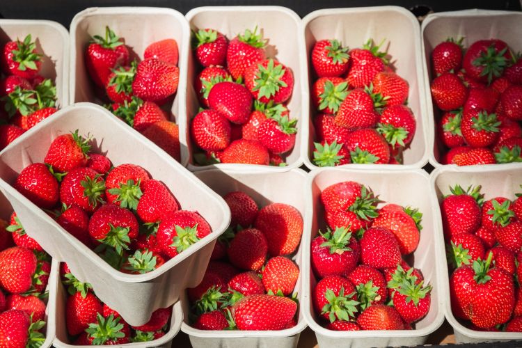 Friss szamóca dobozokban