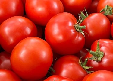 Friss paradicsom helyi termesztésből