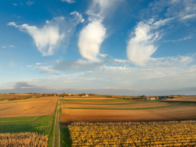 Lehűlés jön, eső alig: nehéz hét vár a földekre