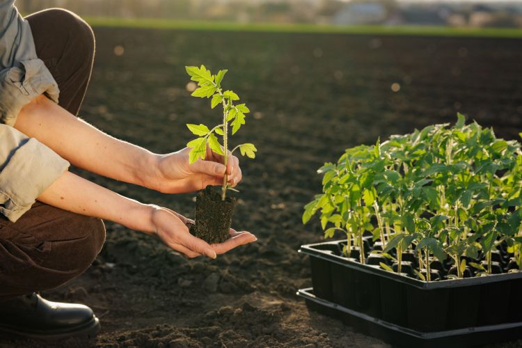 Megugrottak az árak az európai hajtatásban