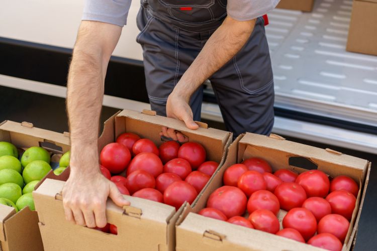 Agrárexport friss zöldségekkel Európán túl