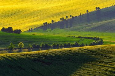 Agrártáj Keszthely térségében