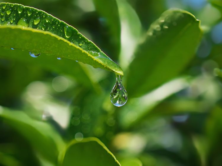 Papíron nincs nagy gond a csapadékkal, mégis szárazág van
