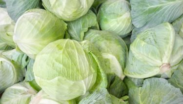 A képen egymásra halmozott, világoszöld fejes káposzták láthatók közelről.