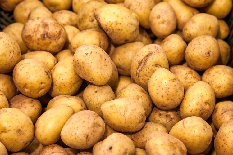 Burgonyaár mélyrepülésben Európában