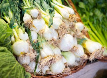 Friss újhagyma kötegekben