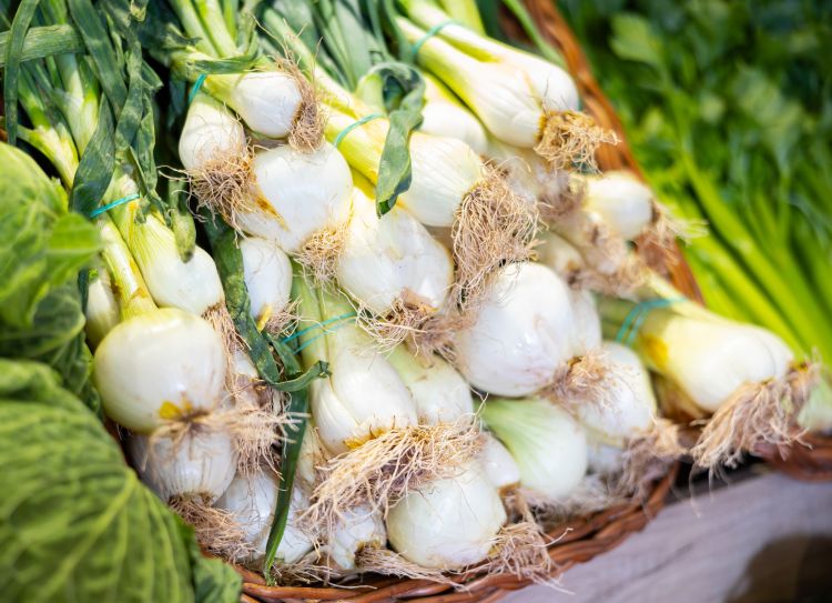 Friss újhagyma kötegekben