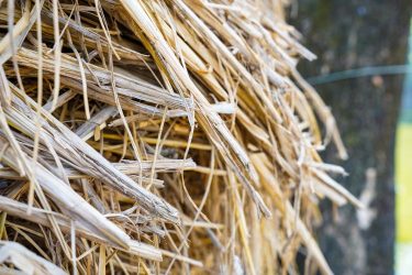 Szénabála közelről a kertben