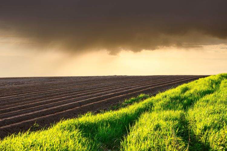 Viharfelhők a szántóföld felett