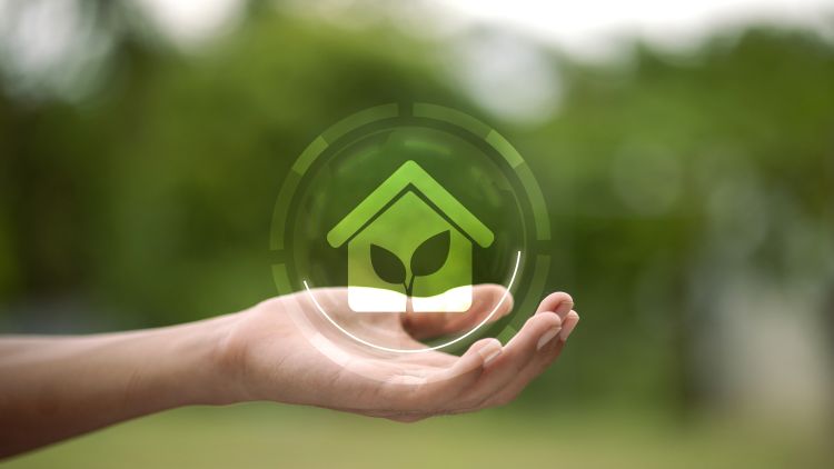 Fenntartható termesztés jelképe közelről