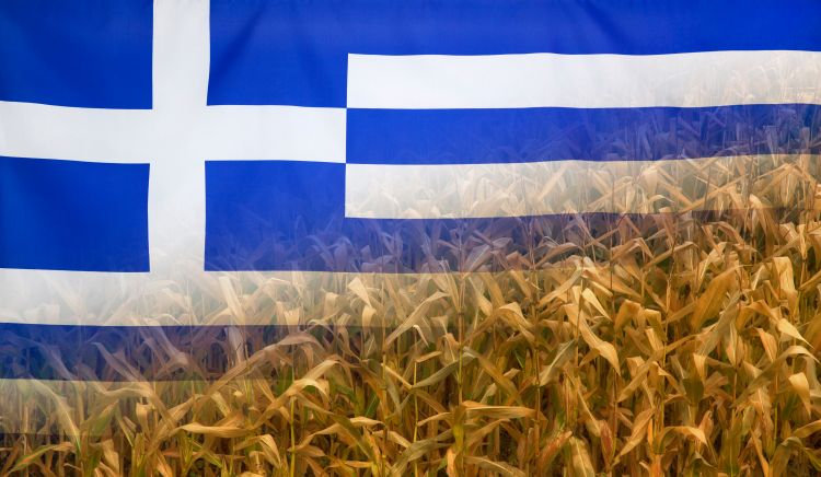 Görög agrárbotrány illusztráció