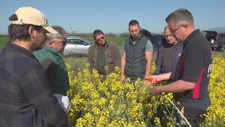 Repce: elfogyott az erő – innen már minden számít