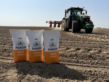 Pioneer vetőmag portfólió Corteva