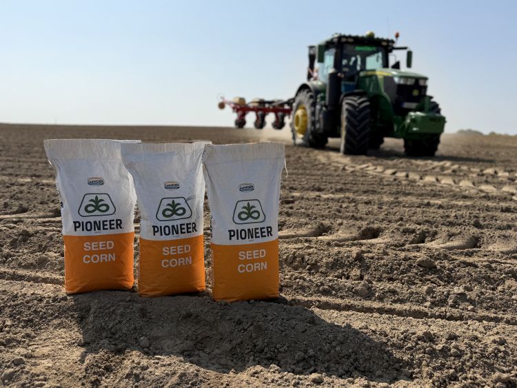 Pioneer vetőmag portfólió Corteva