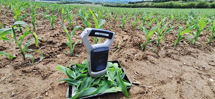 AgroCares szkenner terepi méréshez