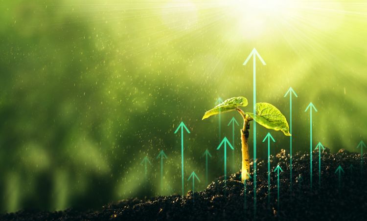 Tízből nyolc agrárcég bajban van