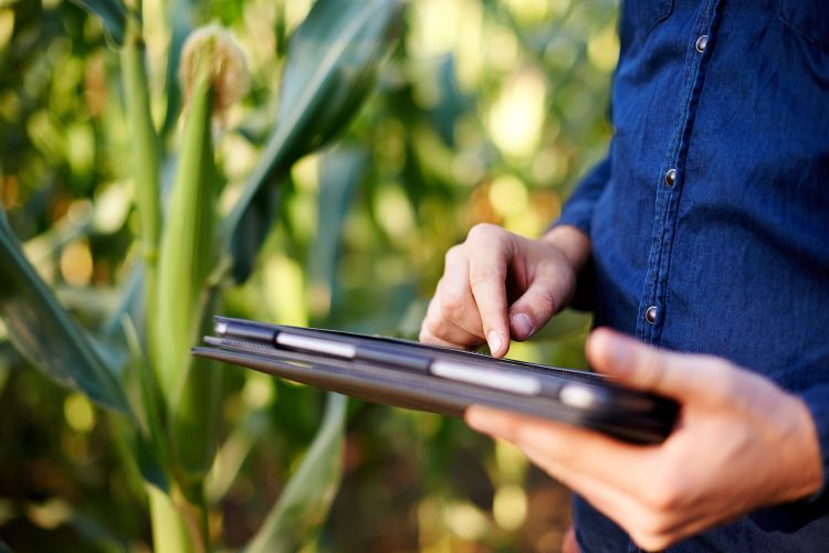 Gazdálkodási Napló digitális rögzítése